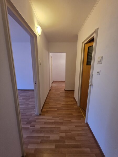 Theodor Pallady, 5 minute metrou 1 Decembrie 1918, pe strada Becatei